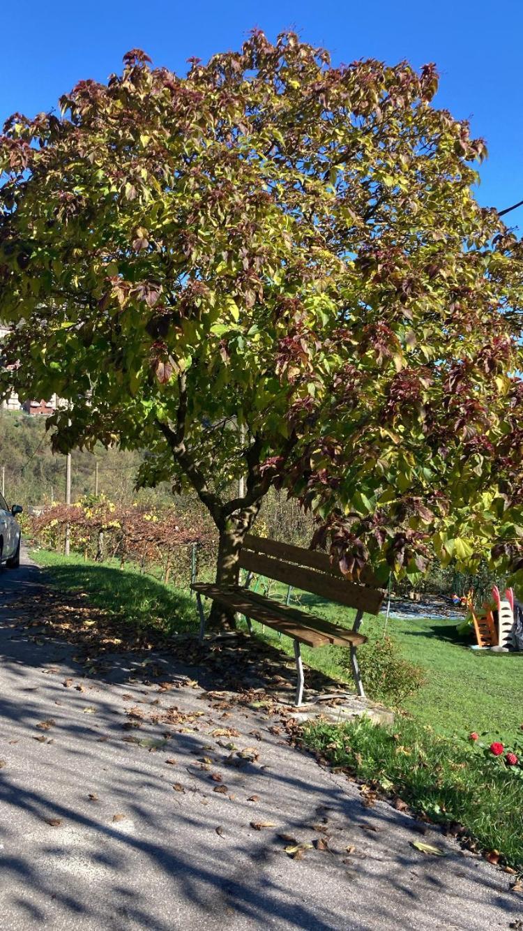 Cascina Uertigher Gorno 외부 사진